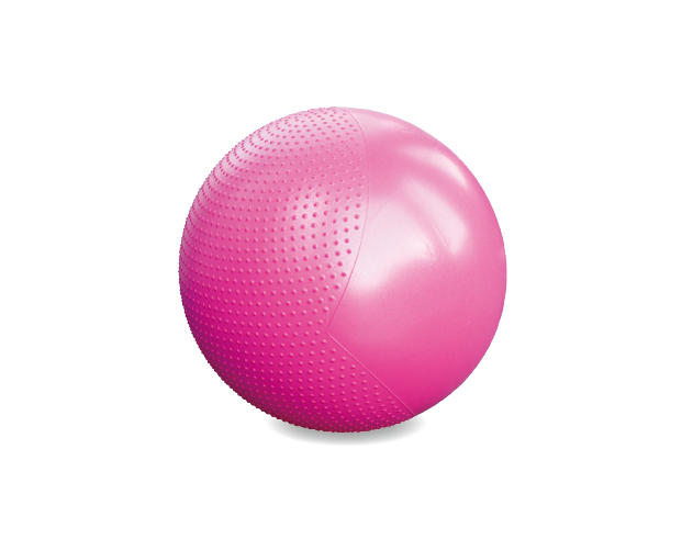 ASM439 Anti-Burst Gym Ball
